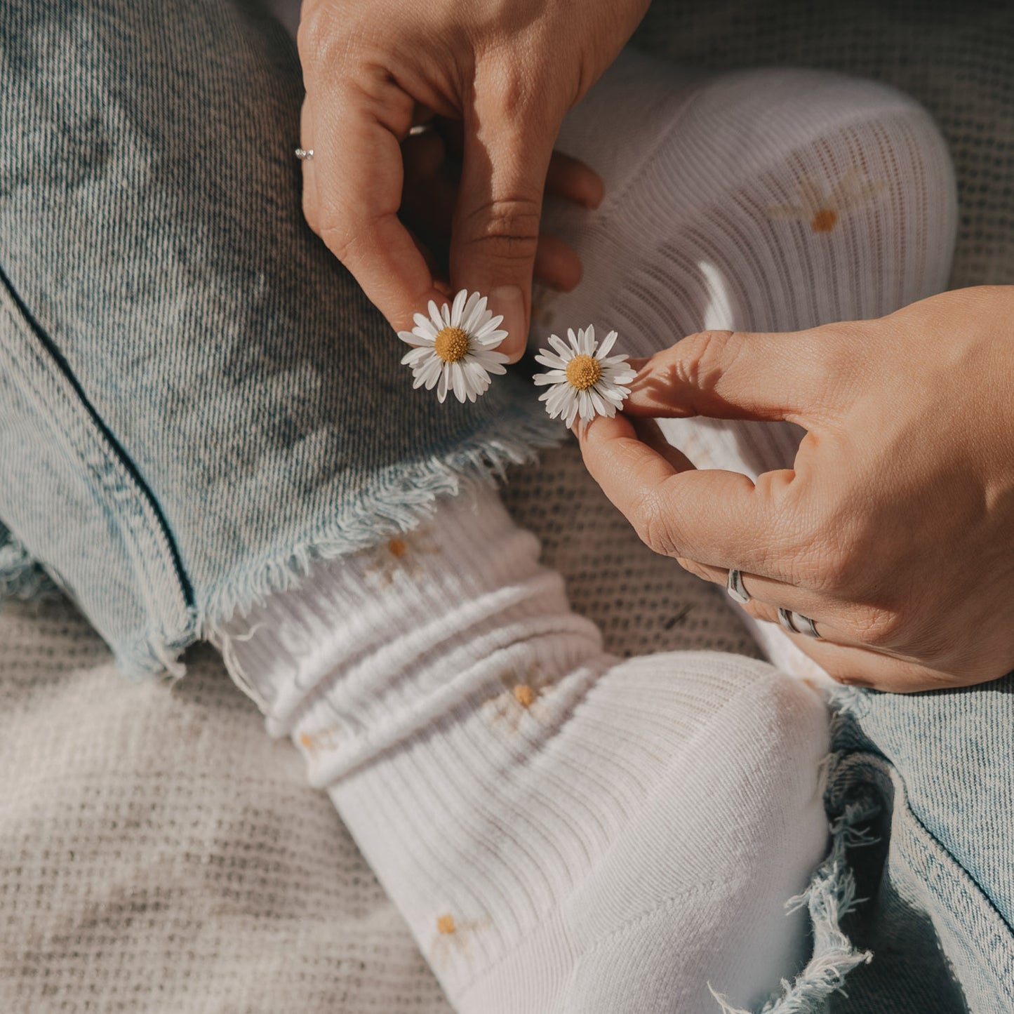 Socken weiß "Allover Daisy"